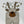 Load image into Gallery viewer, Happy Bear Jumper